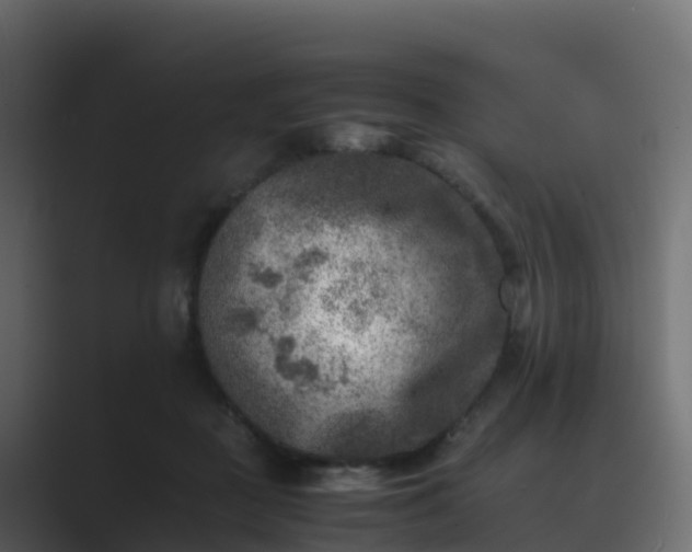 X0000089710363200706281516