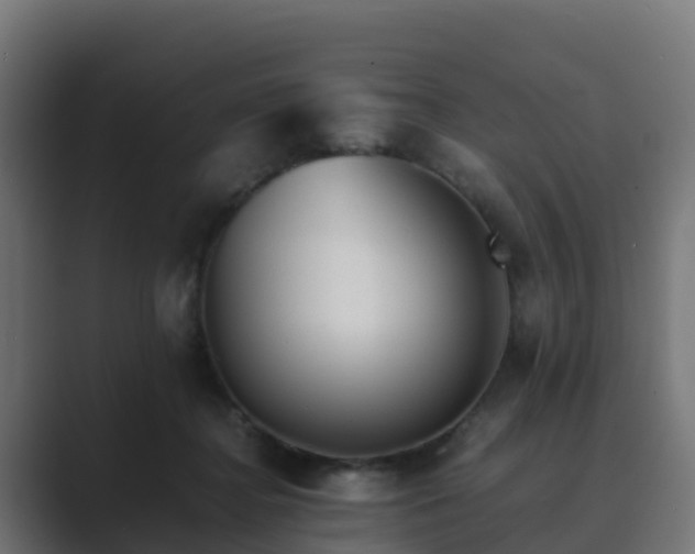 X0000089710364200706281516