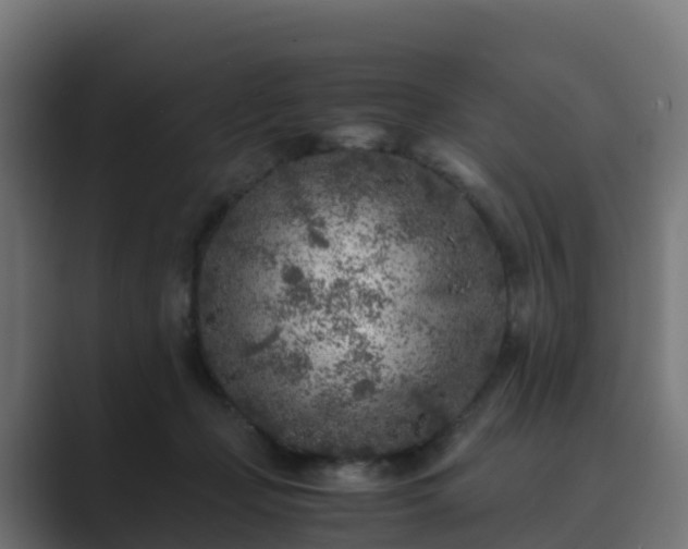 X0000089710365200706281516