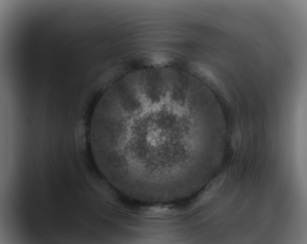 X0000089710366200706281516