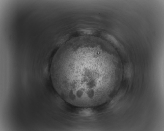 X0000089710377200706281517