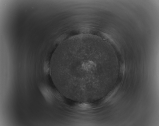 X0000089710383200706281517