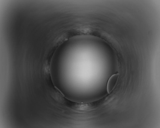 X0000089710384200706281517