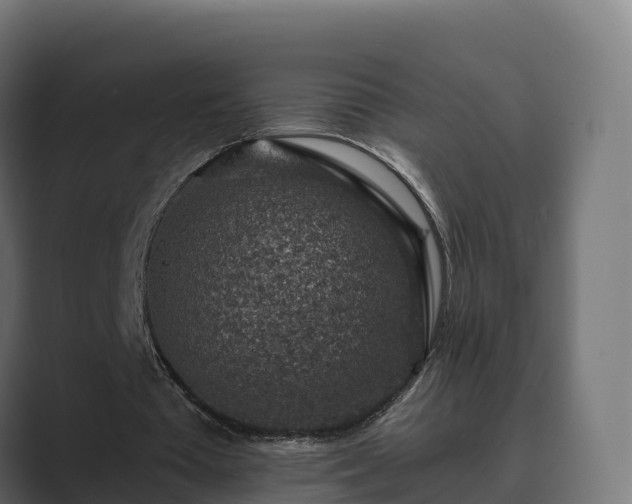 X0000089710385200706281516