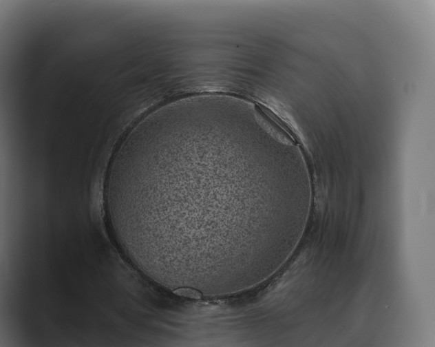 X0000089710386200706281516