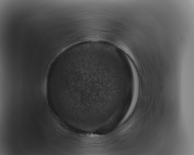 X0000089710387200706281516