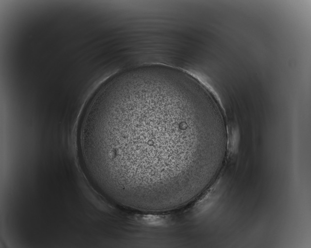 X0000089710390200706281516