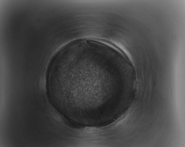 X0000089710391200706281516