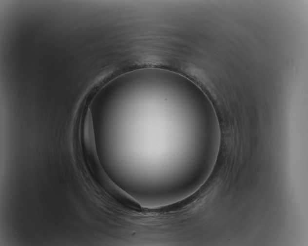 X0000089710395200706281516