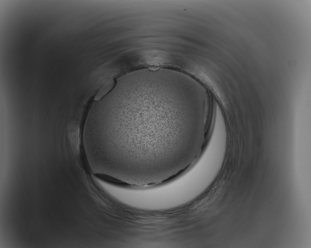 X0000089710397200706281516