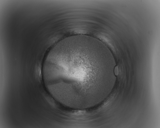 X0000089710398200706281516