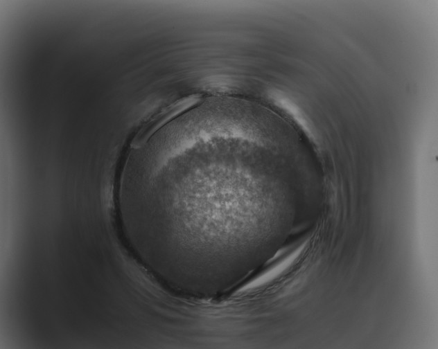 X0000089710399200706281516