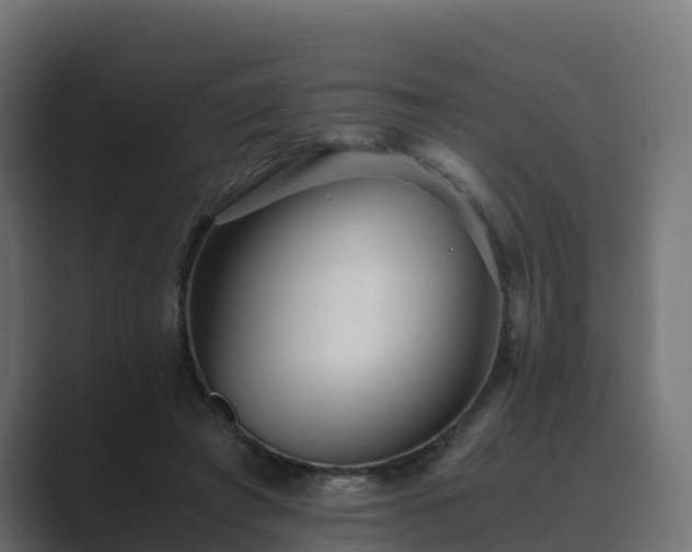 X0000089710401200706281516