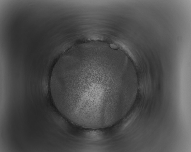 X0000089710402200706281516