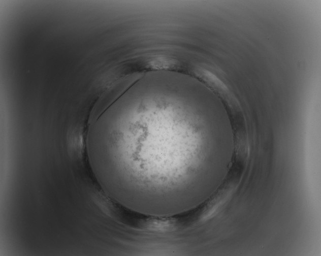 X0000089710405200706281516