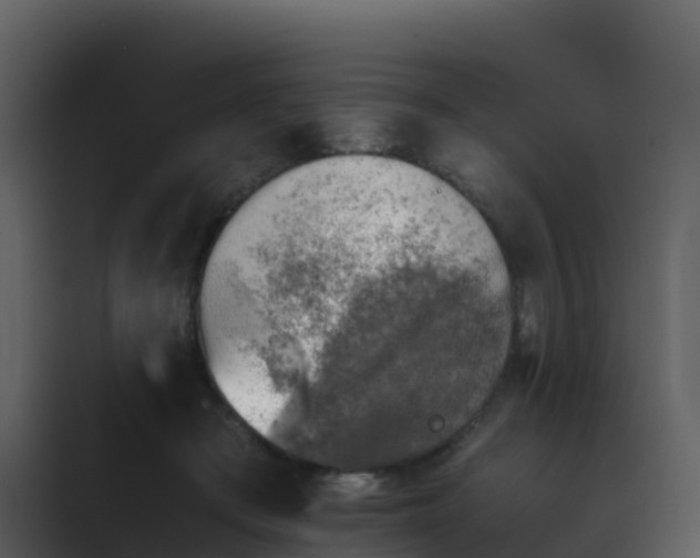 X0000089710409200706281516