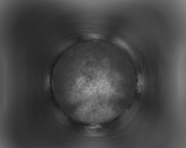 X0000089710410200706281516