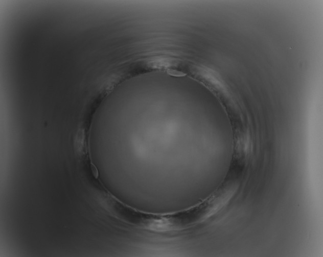 X0000089710411200706281516