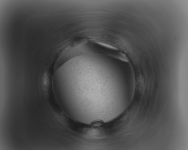 X0000089710412200706281516