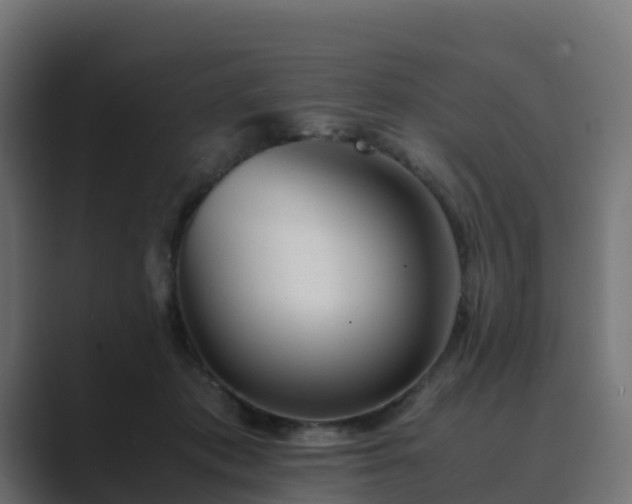 X0000089710413200706281516