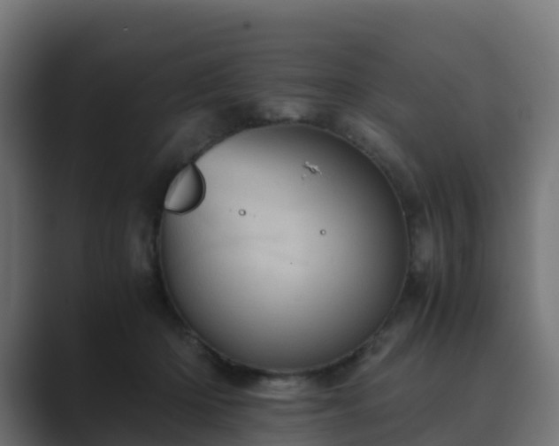 X0000089710414200706281516