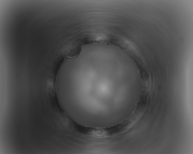 X0000089710415200706281516