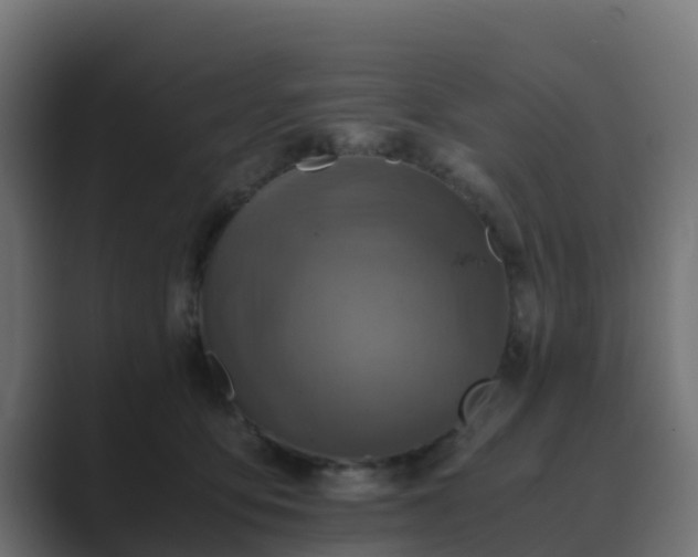 X0000089710419200706281516