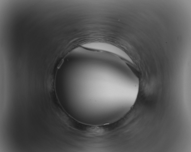 X0000089710421200706281516