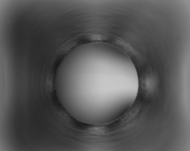 X0000089710422200706281516