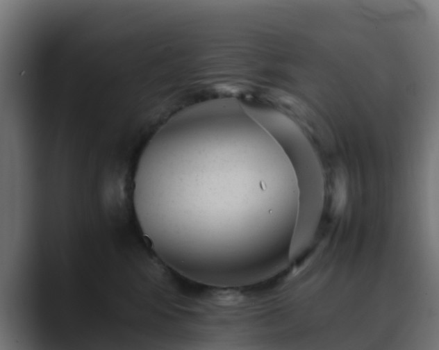 X0000089710424200706281516