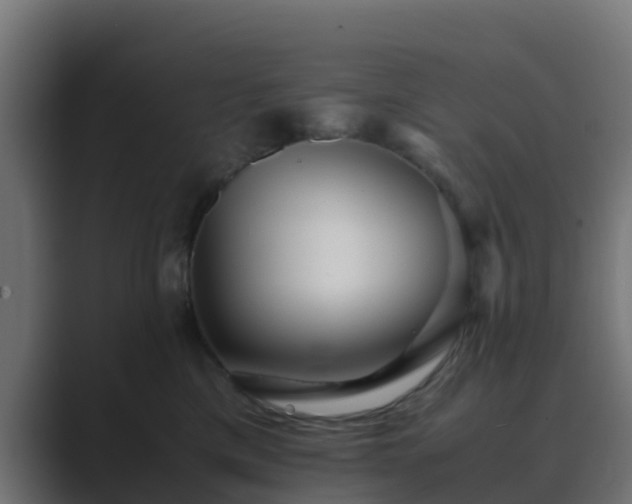 X0000089710425200706281516