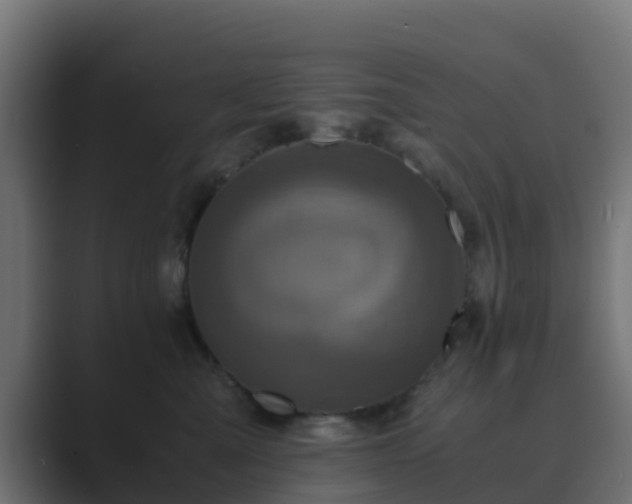 X0000089710427200706281516