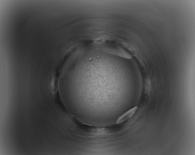 X0000089710428200706281516