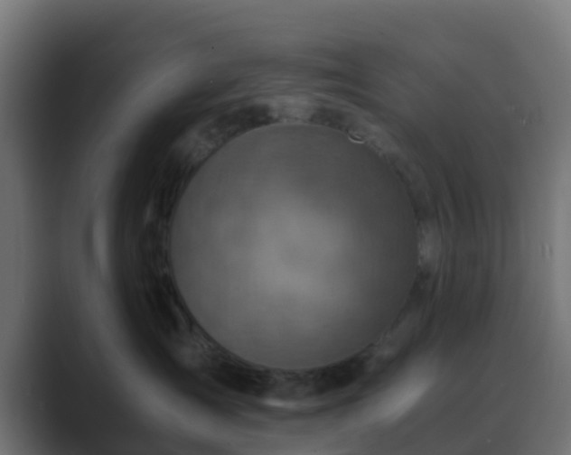 X0000089710431200706281516