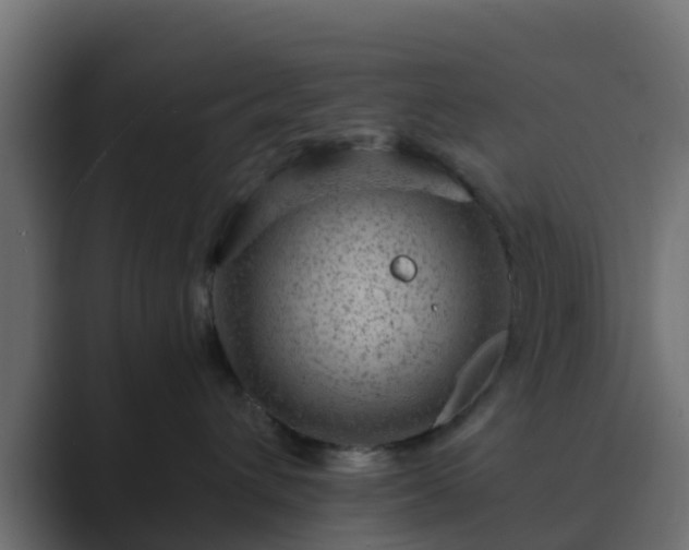 X0000089710432200706281516