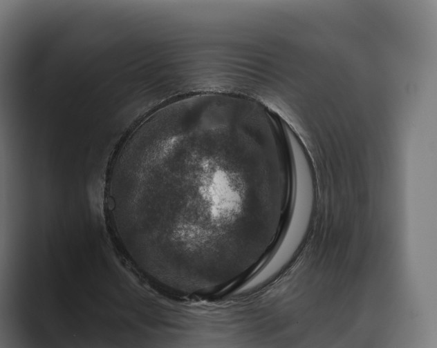 X0000089710434200706281515