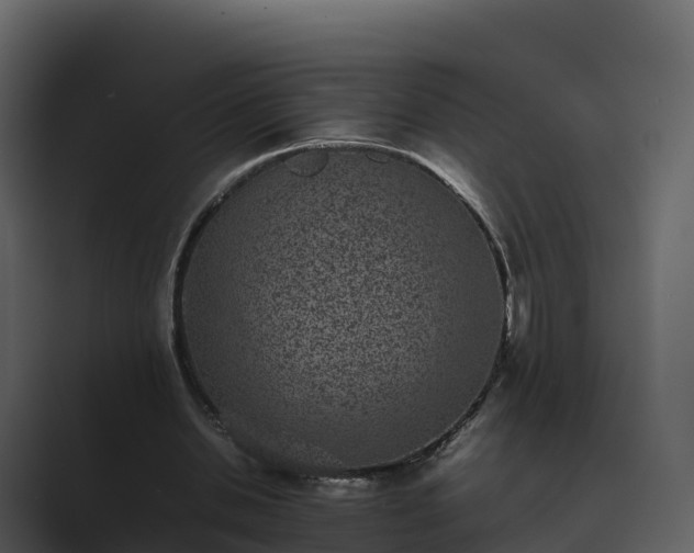 X0000089710438200706281515