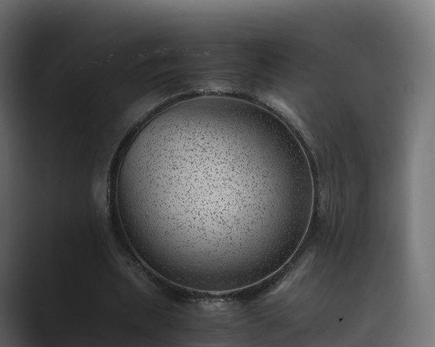 X0000089710439200706281515