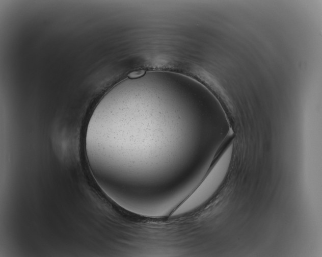 X0000089710442200706281515