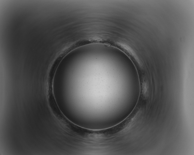 X0000089710444200706281515