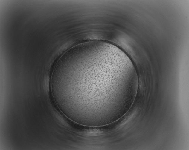 X0000089710445200706281515