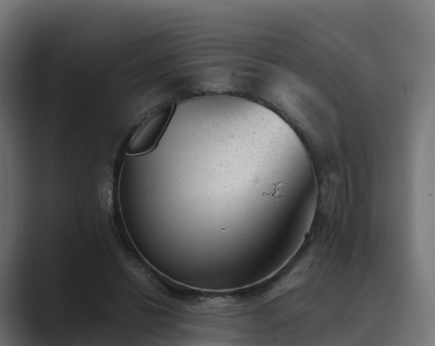 X0000089710446200706281515