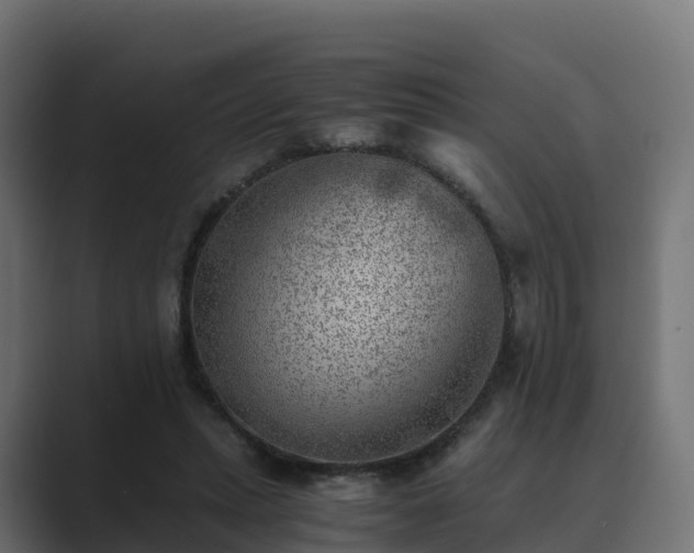 X0000089710447200706281515