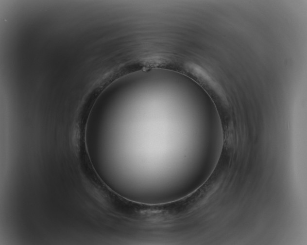 X0000089710448200706281515