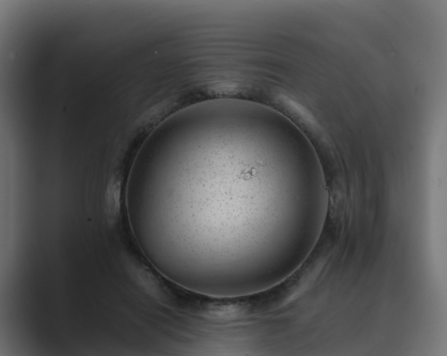 X0000089710454200706281515