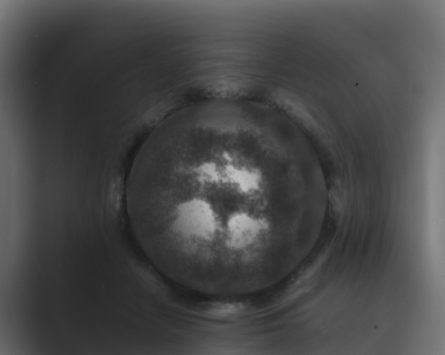 X0000089710458200706281515