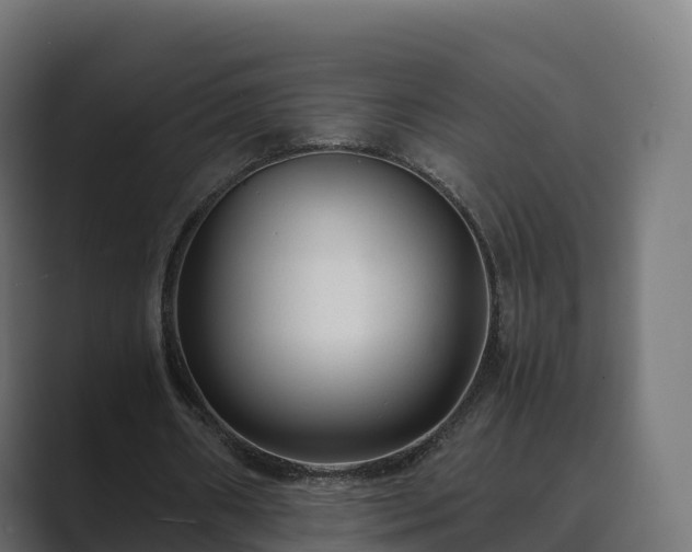 X0000089710482200706281515