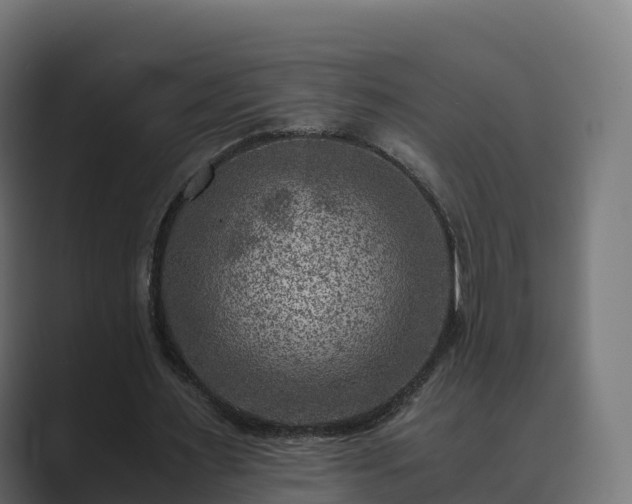 X0000089710483200706281515