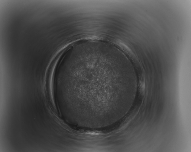 X0000089710484200706281515