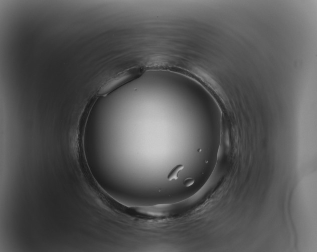 X0000089710485200706281515